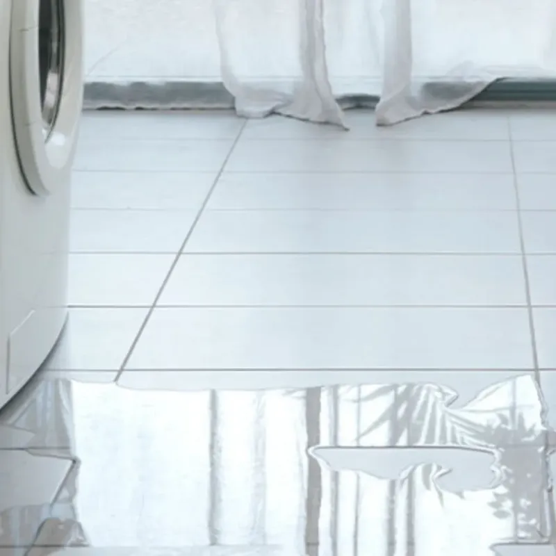 Appliance Leak Cleanup in Rock Island County, IL