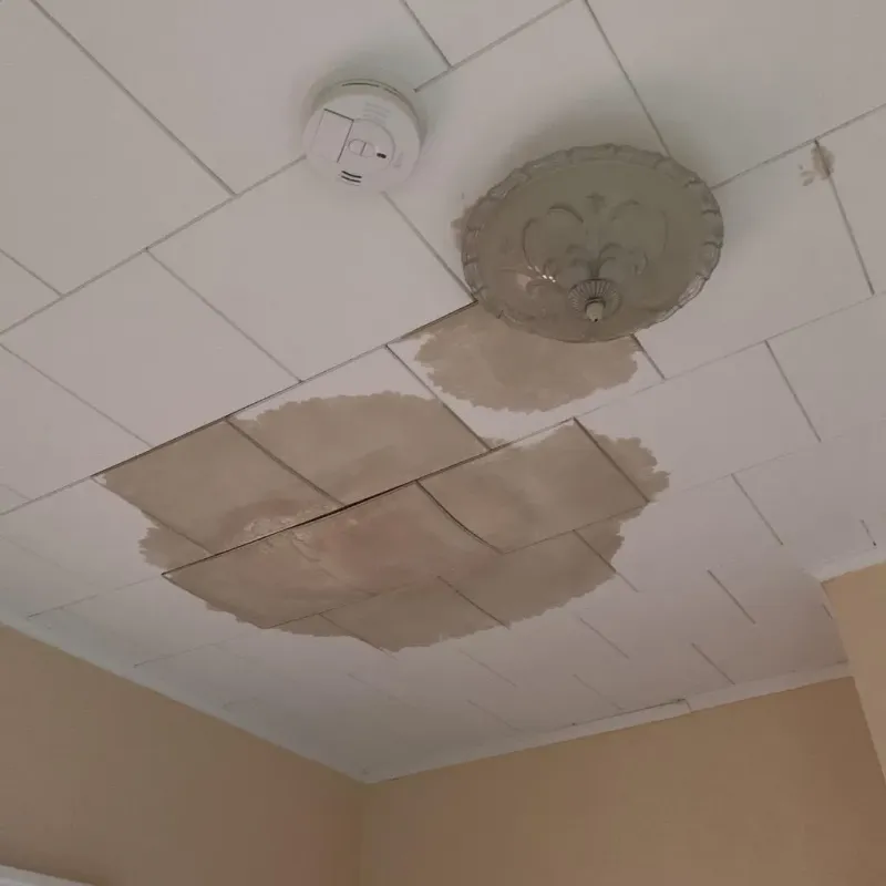 Ceiling Water Damage Repair in Rock Island County, IL