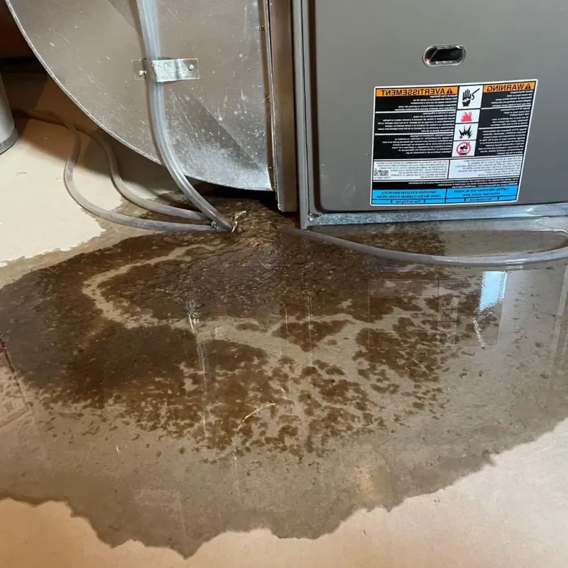 Pipe Burst and Leak Restoration in Rock Island County, IL