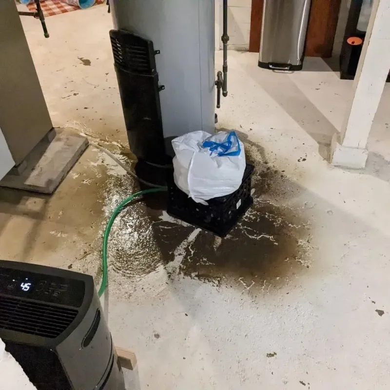 Sewage Backup Cleanup Service in Rock Island County, IL